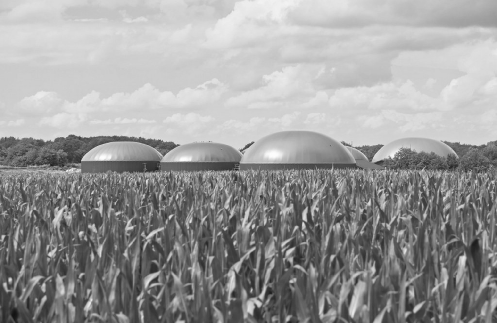 Agricultural ecosystem